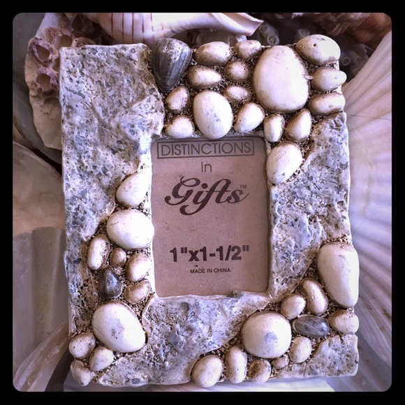 Distinctions Gifts Other - 🐳Seashell Frame and 5 real seashells